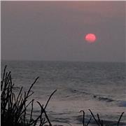 Clases de Cocina Vegana Personalizadas y a Domicilio